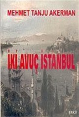 İki Avuç İstanbul
