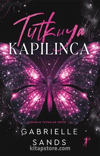 Tutkuya Kapılınca / Karanlık Tutkular Serisi 2