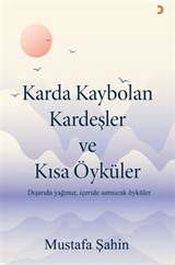 Karda Kaybolan Kardeşler ve Kısa Öyküler
