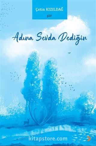Adına Sevda Dediğin