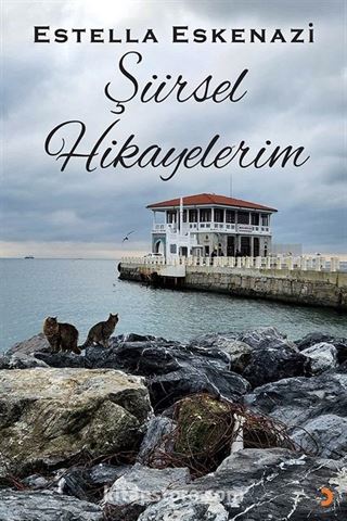 Şiirsel Hikayelerim