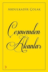 Çeşmemden Akanlar