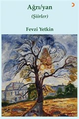 Ağrı / yan