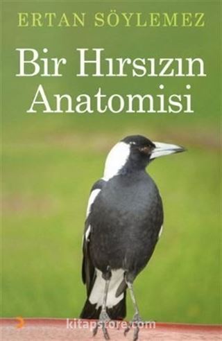 Bir Hırsızın Anatomisi