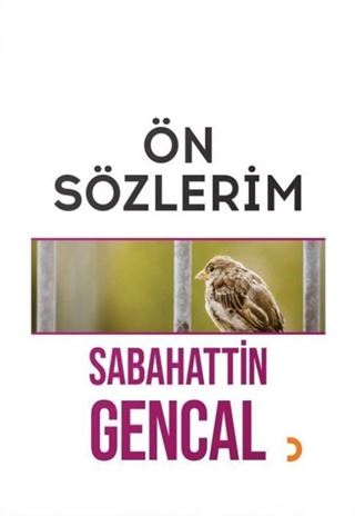 Ön Sözlerim