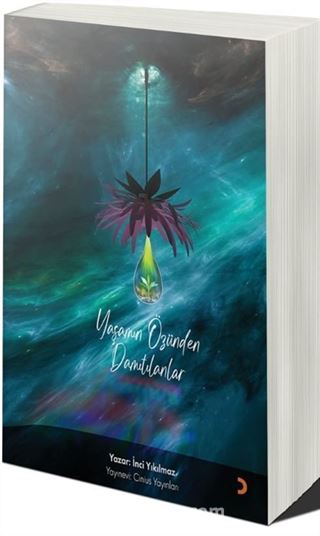 Yaşamın Özünden Damıtılanlar