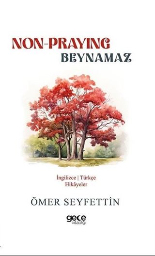 Non-Praying - Beynamaz