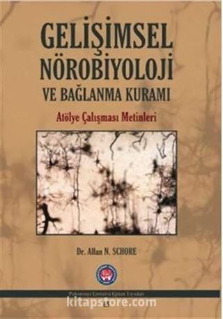 Gelişimsel Nörobiyoloji ve Bağlanma Kuramı