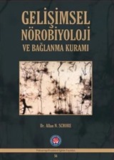 Gelişimsel Nörobiyoloji ve Bağlanma Kuramı