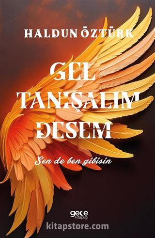 Gel Tanışalım Desem