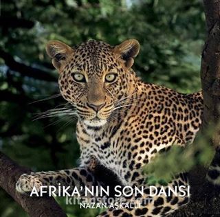 Afrika'nın Son Dansı