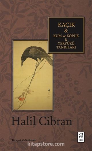 Kaçık - Kum ve Köpük - Yeryüzü Tanrıları
