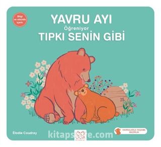 Yavru Ayı Öğreniyor Tıpkı Senin Gibi