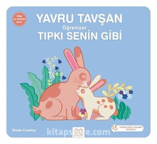 Yavru Tavşan Öğreniyor Tıpkı Senin Gibi