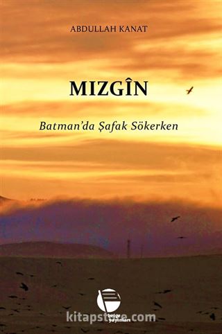 Mızgin