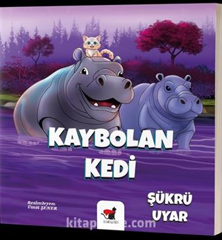 Kaybolan Kedi