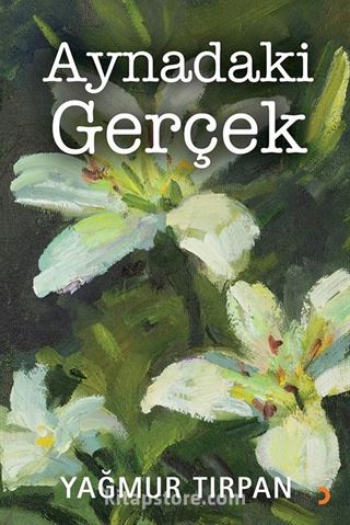 Aynadaki Gerçek
