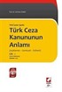 TCK İzmir Şerhi / Cilt 1 Genel Hükümler-Madde 1-75 / Türk Ceza Kanununun Anlamı /Açıklamalı-Gerekçeli-İçtihatlı (ciltli)