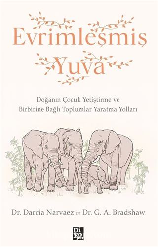 Evrimleşmiş Yuva