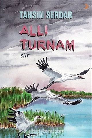 Allı Turnam