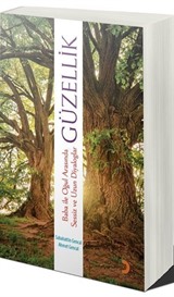 Güzellik