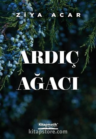 Ardıç Ağacı