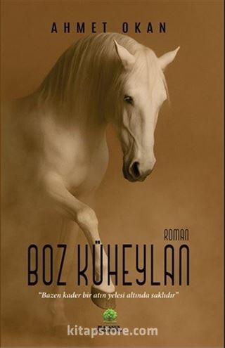 Boz Küheylan