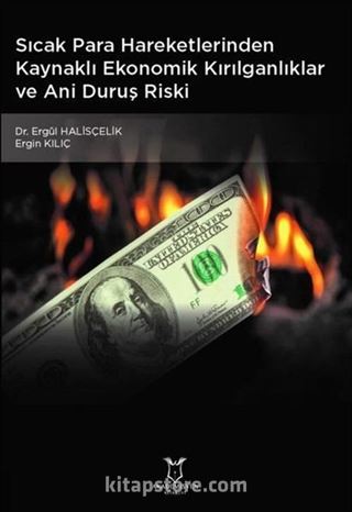 Sıcak Para Hareketlerinden Kaynaklı Ekonomik Kırılganlıklar ve Ani Duruş Riski