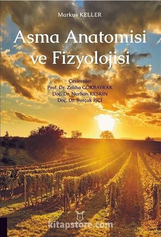 Asma Anatomisi ve Fizyolojisi