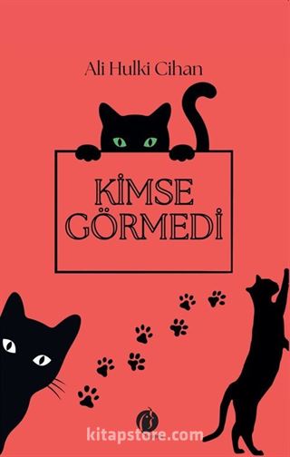 Kimse Görmedi