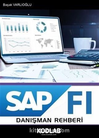 SAP FI Danışman Rehberi