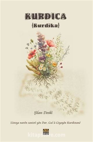 Kurdica (Kurdîka) - 1