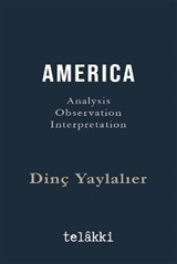 Amerıca Analysis - Observation - Interpretation