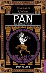 Pan Bize Ne Mesaj Veriyor?