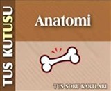 TUS Kutusu Anatomi