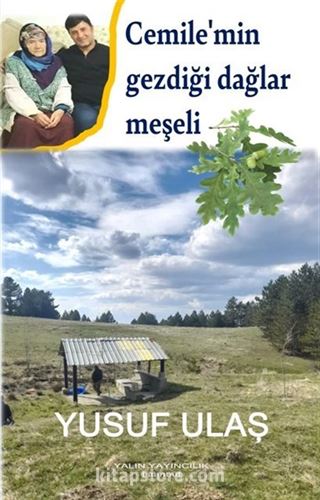 Cemile'min Gezdiği Dağlar Meşeli