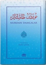 Nurdan Damlalar