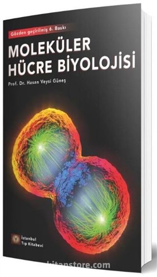 Moleküler Hücre Biyolojisi