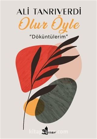 Olur Öyle