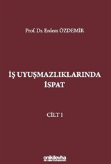 İş Uyuşmazlıklarında İspat (3 Cilt)