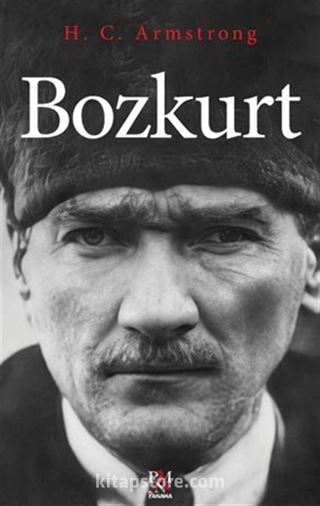 Bozkurt
