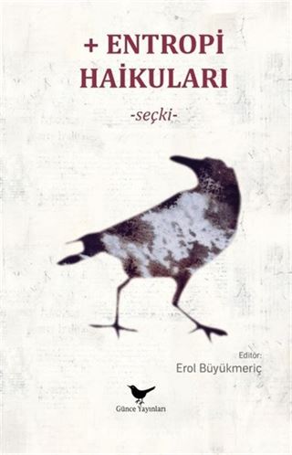 Entropi Haikuları