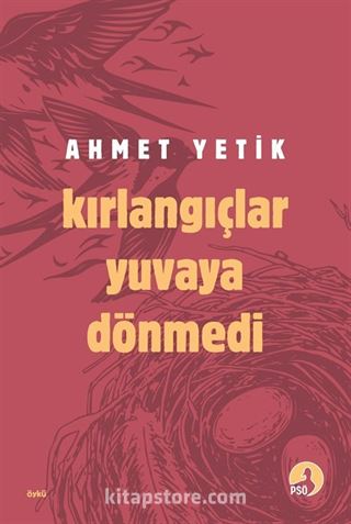 Kırlangıçlar Yuvaya Dönmedi