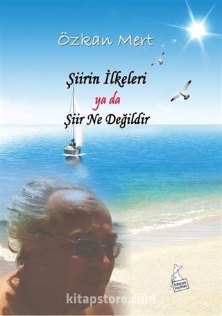Şiirin İlkeleri ya da Şiir Ne Değildir?