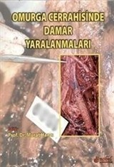 Omurga cerrahisinde Damar yaralanmaları