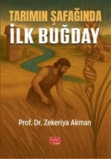 Tarımın Şafağında İlk Buğday