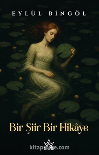 Bir Şiir Bir Hikaye