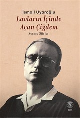 Lavların İçinde Açan Çiğdem