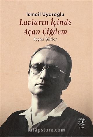 Lavların İçinde Açan Çiğdem