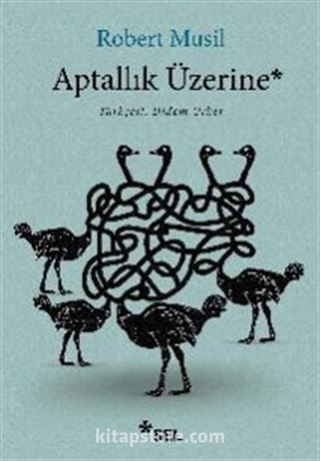 Aptallık Üzerine